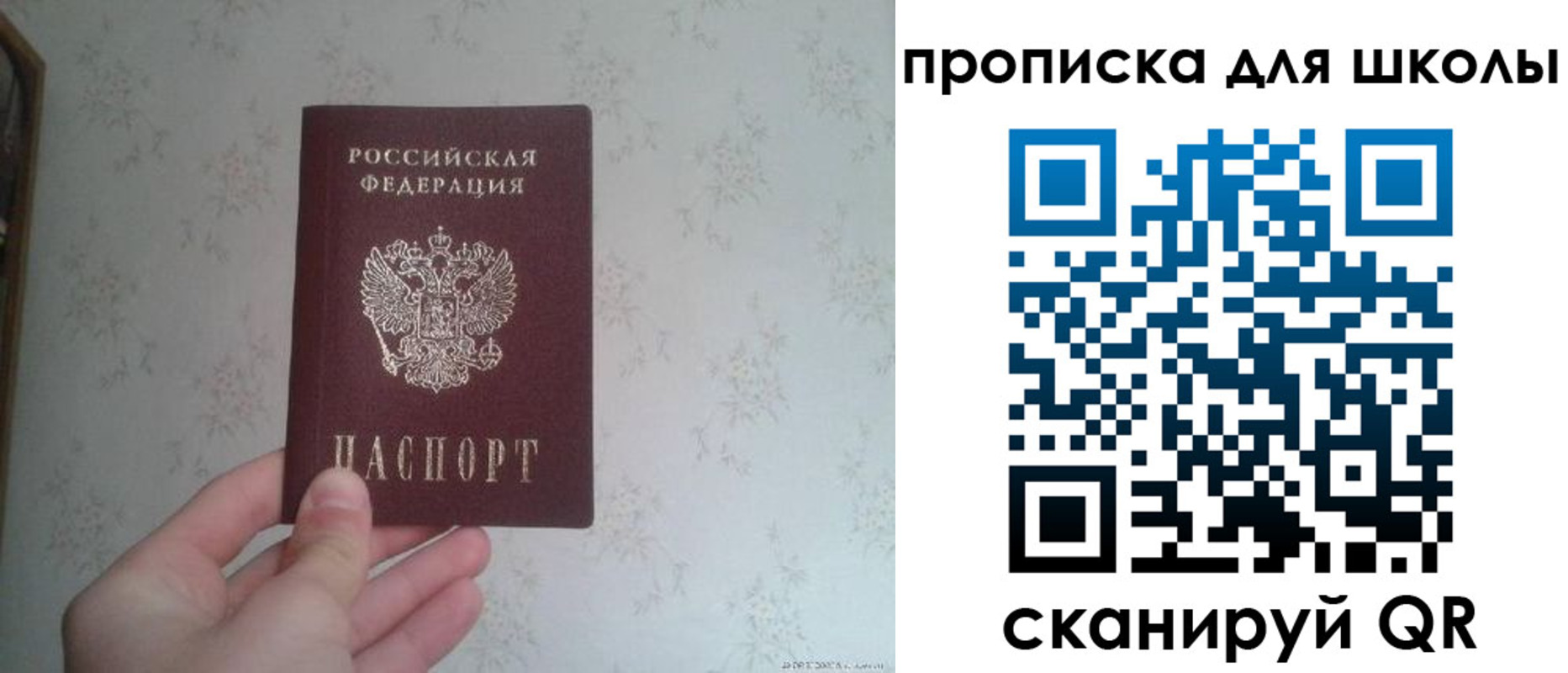 временная регистрация поиск в Жуковском
